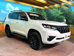 LANDCRUISER PRADO
