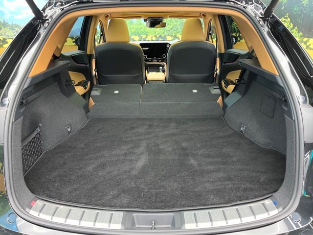 LEXUS NX350h