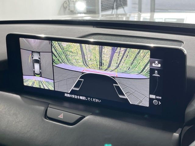 CX-60