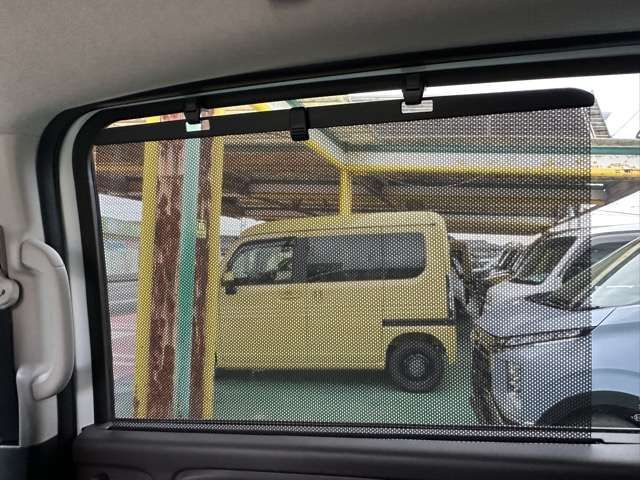 FREED plus