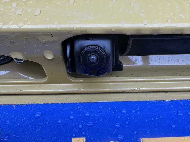 N-VAN e: