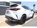 LEXUS NX350h