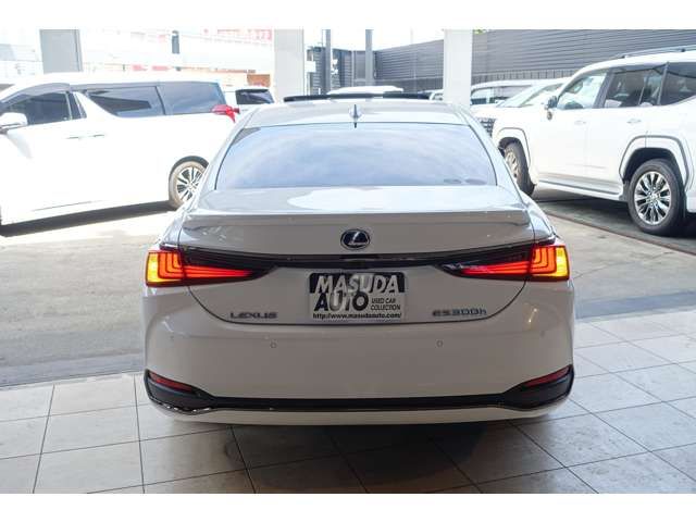 LEXUS ES300h