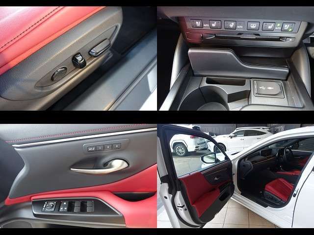 LEXUS ES300h