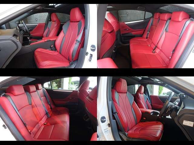 LEXUS ES300h
