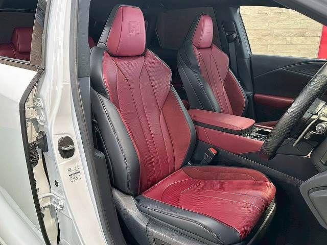 LEXUS RX500h
