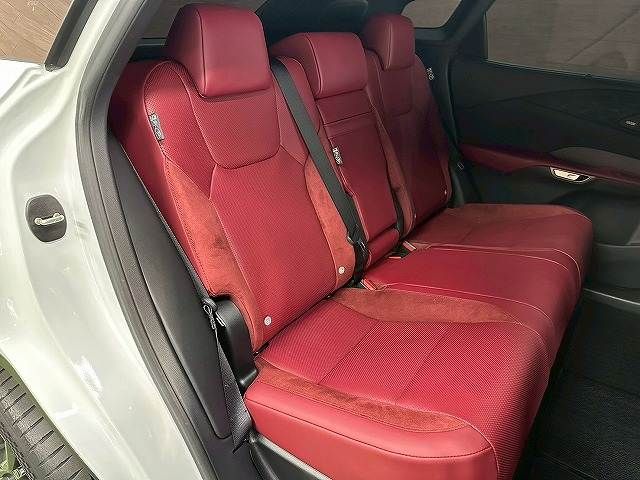 LEXUS RX500h