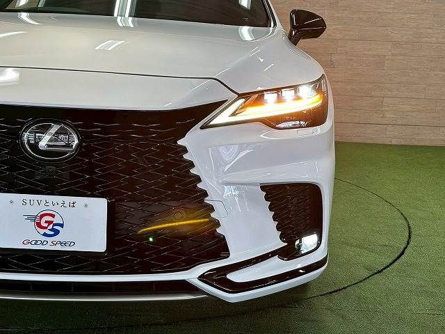 LEXUS RX500h