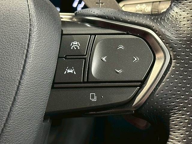 LEXUS RX500h