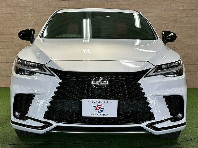LEXUS RX500h