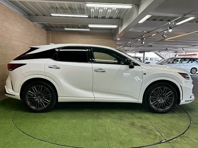 LEXUS RX500h