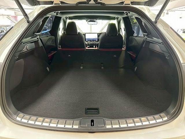 LEXUS RX500h