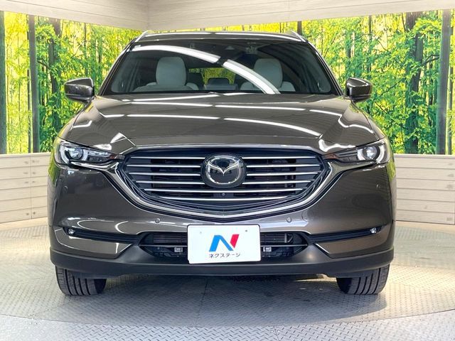 CX-8