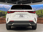 LEXUS NX350h