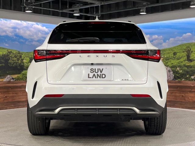 LEXUS NX350h