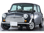 ROVER MINI