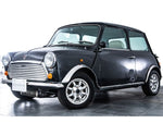 ROVER MINI