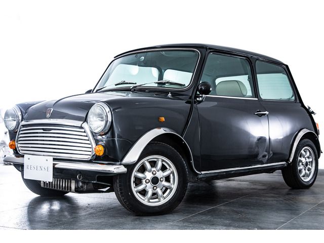 ROVER MINI
