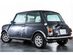 ROVER MINI
