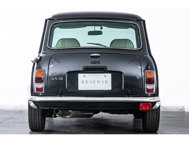 ROVER MINI