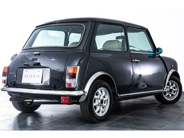 ROVER MINI