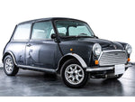 ROVER MINI