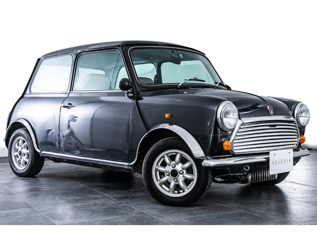 ROVER MINI