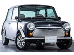 ROVER MINI