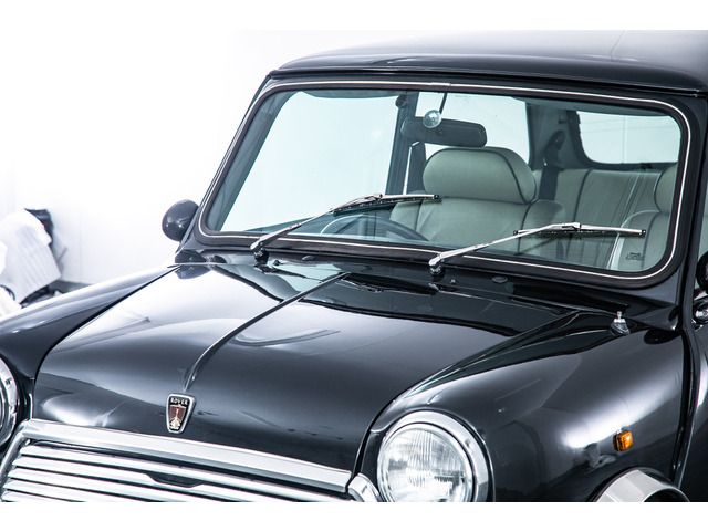 ROVER MINI