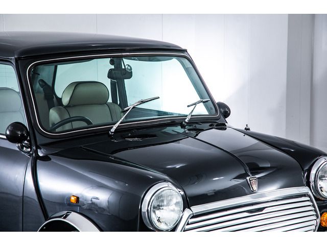 ROVER MINI