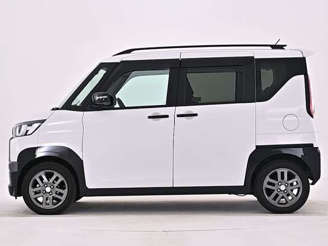 DELICA MINI