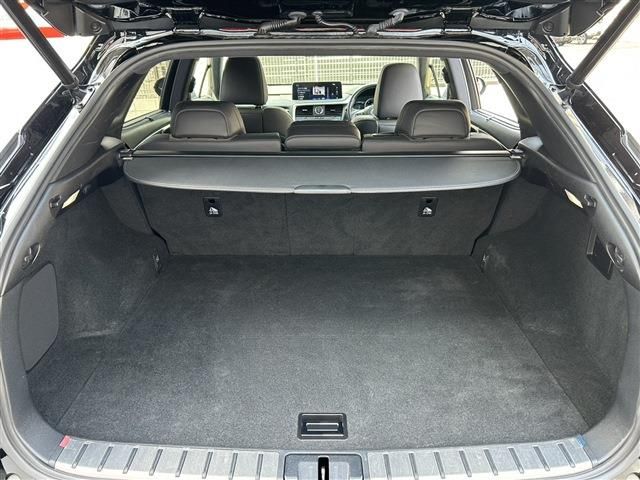 LEXUS RX300