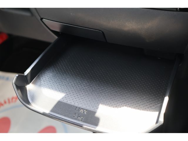 DELICA MINI