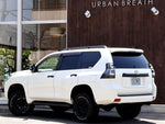LANDCRUISER PRADO