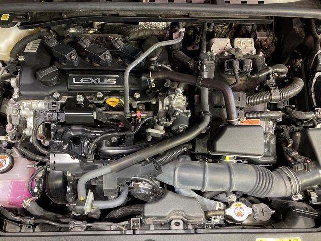 LEXUS LBX