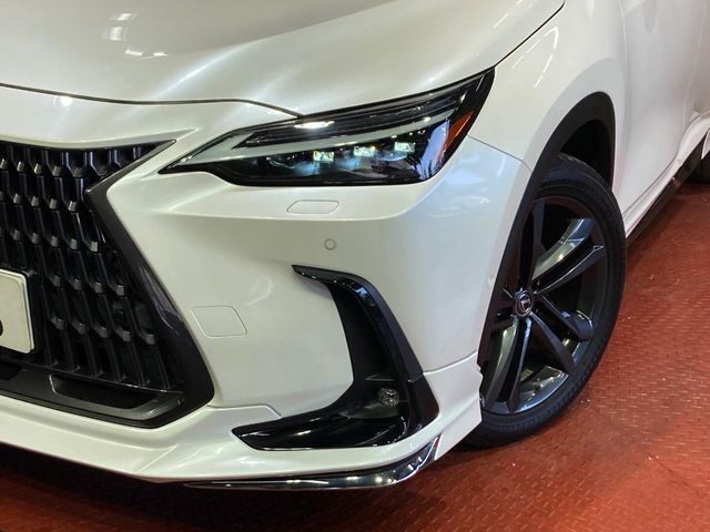 LEXUS NX450h+ AWD