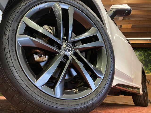 LEXUS NX450h+ AWD