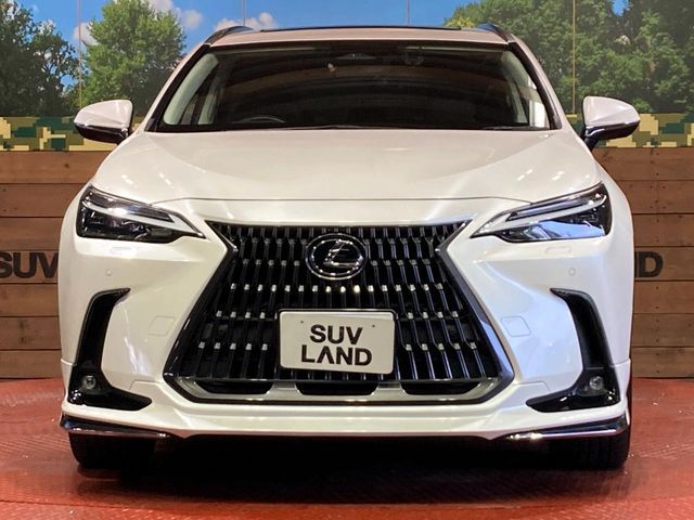 LEXUS NX450h+ AWD