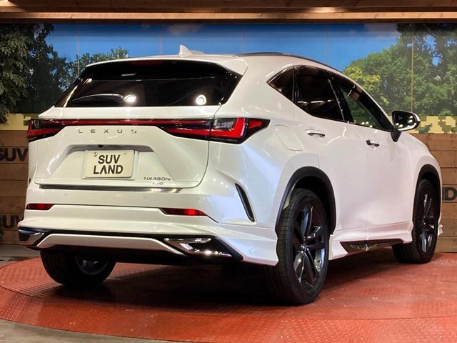 LEXUS NX450h+ AWD