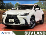 LEXUS NX250