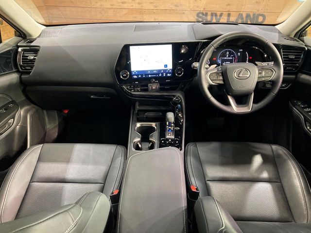 LEXUS NX250