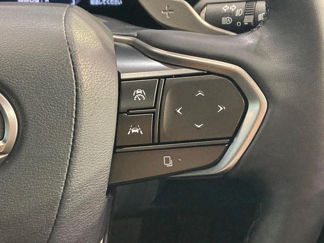 LEXUS NX250