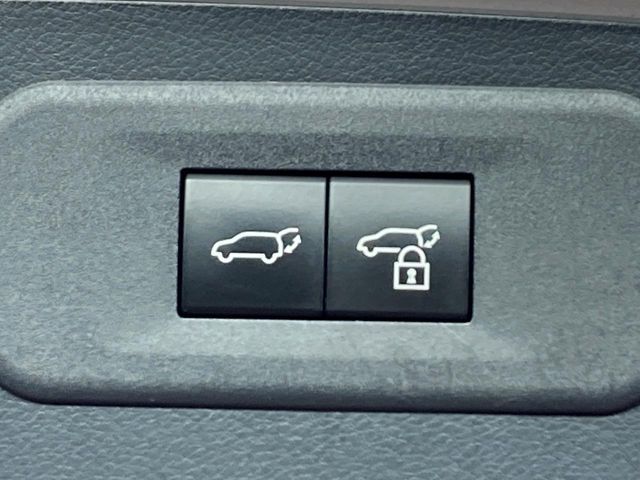 LEXUS NX250