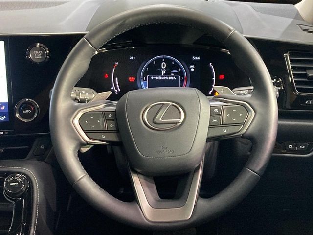 LEXUS NX250