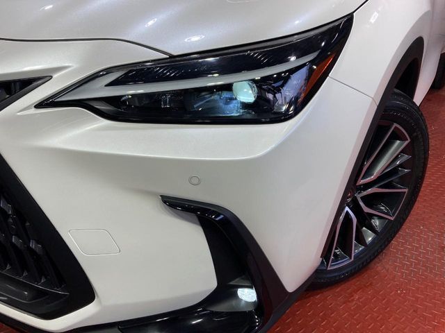 LEXUS NX250