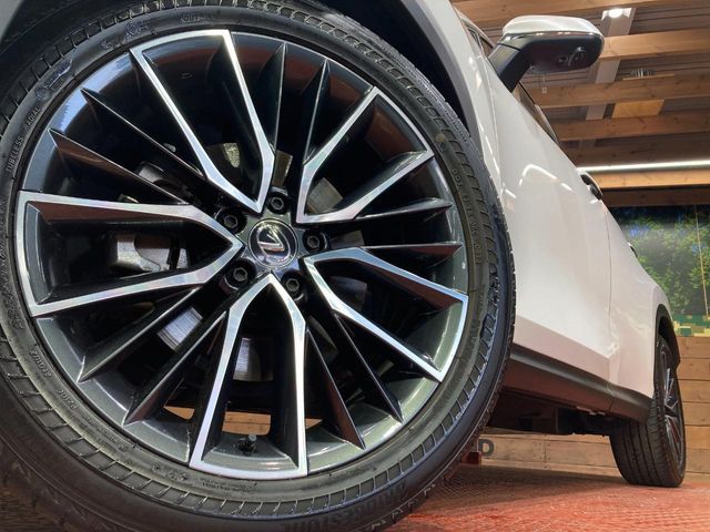 LEXUS NX250