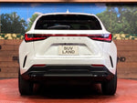 LEXUS NX250