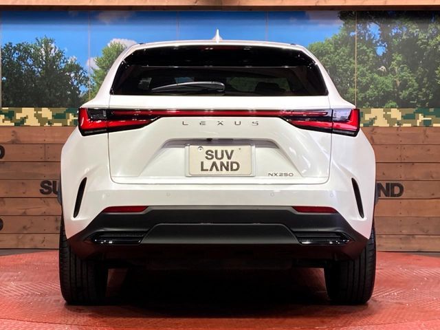 LEXUS NX250