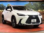 LEXUS NX250