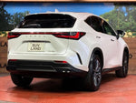 LEXUS NX250